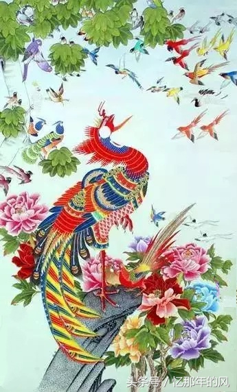 美丽的孔雀和凤凰吉祥的象征,孔雀和凤凰的寓意及象征