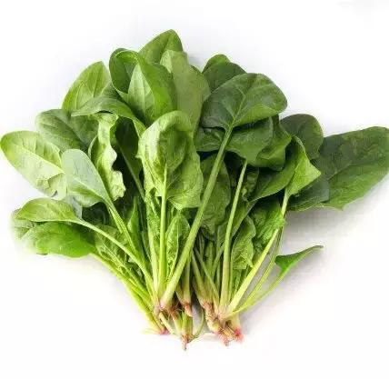 春夏交替咳嗽痰多,春季咳嗽有痰吃什么效果最好