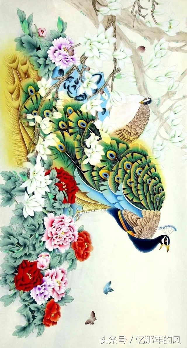 美丽的孔雀和凤凰吉祥的象征,孔雀和凤凰的寓意及象征