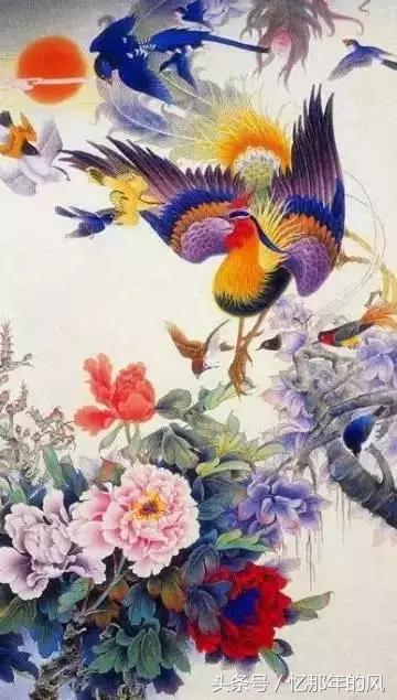 美丽的孔雀和凤凰吉祥的象征,孔雀和凤凰的寓意及象征