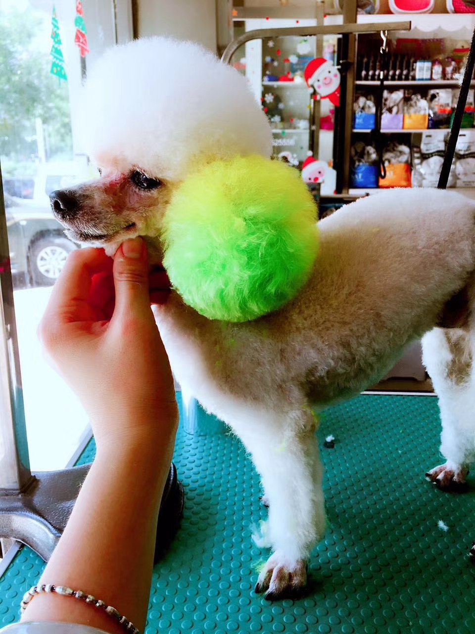 网上买狗被骗知道商家收钱吗,网上买狗狗被骗