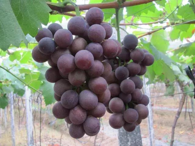 宁波已有11种舌尖美味受国家保护！有你爱吃的吗？