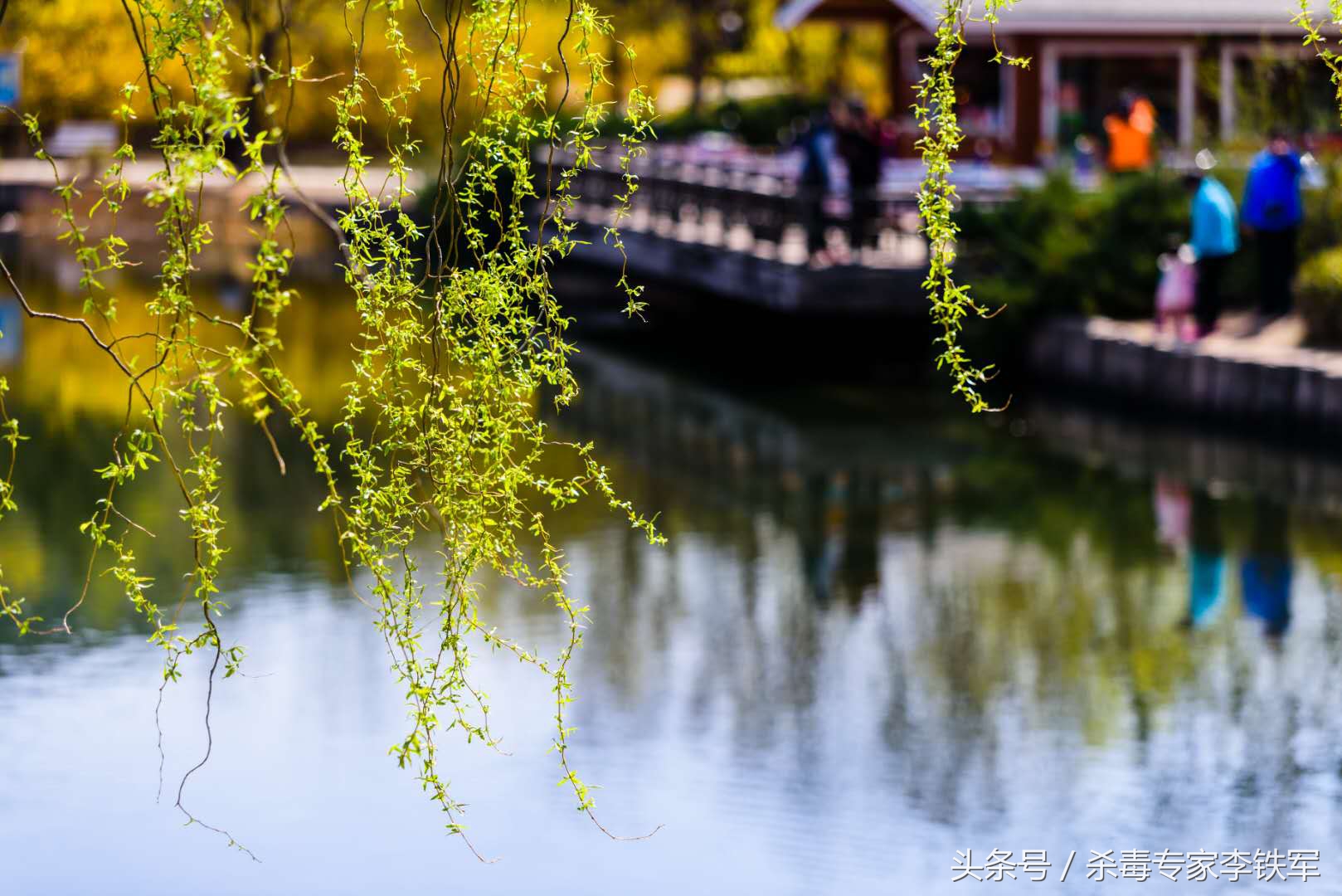 linux系统可以用ghost备份与恢复,ghost备份文件恢复到新硬盘