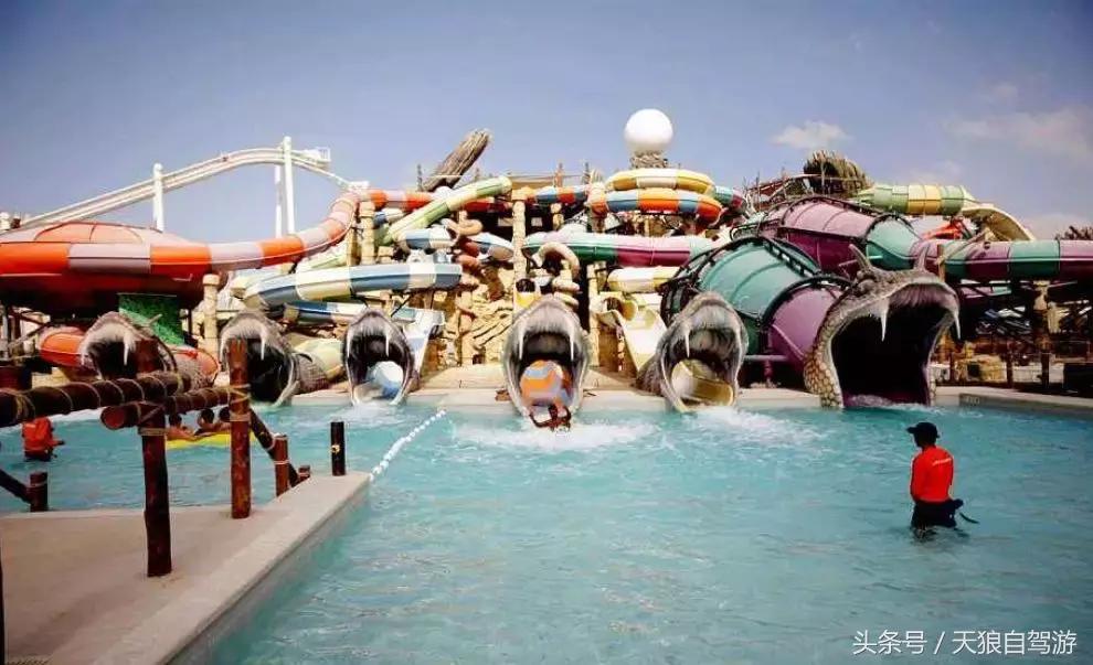 迪拜最有钱的土豪,迪拜土豪奢华日常