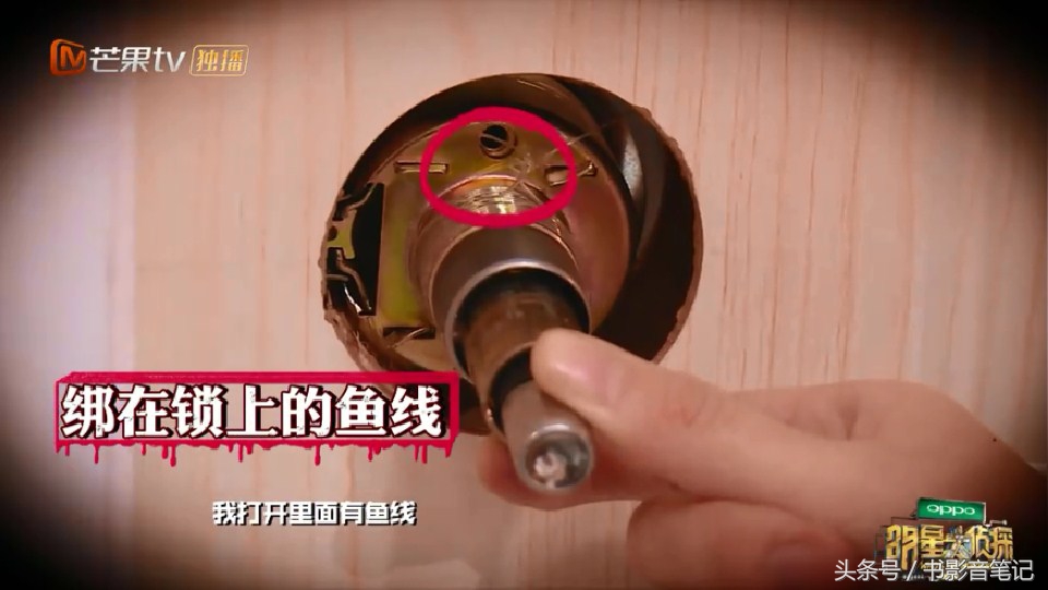 明星大侦探第二季白敬亭注孤生,明星大侦探二白敬亭在第几期