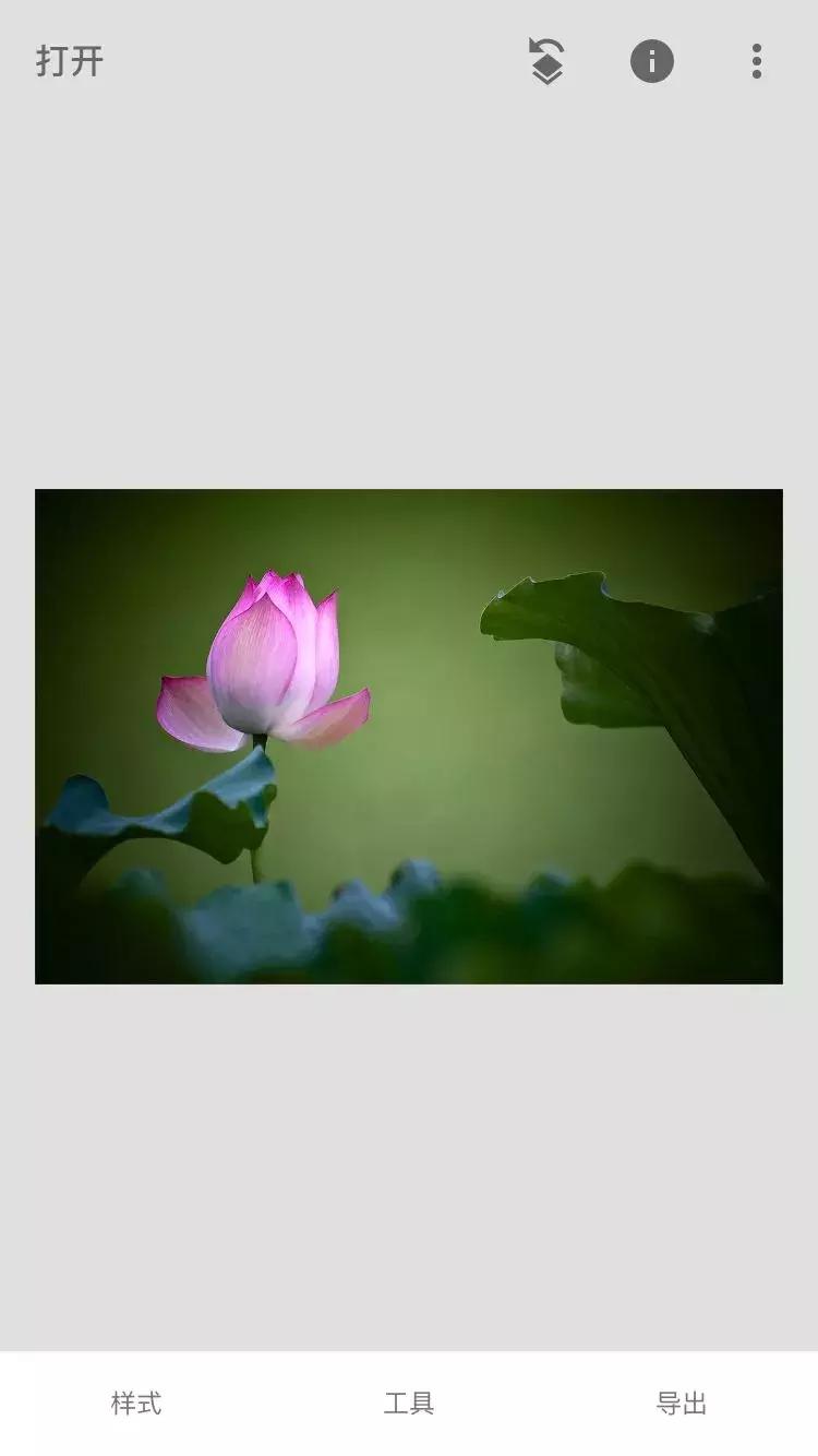 如何用手机拍出黑背景的花,oppo手机怎么拍黑背景图片