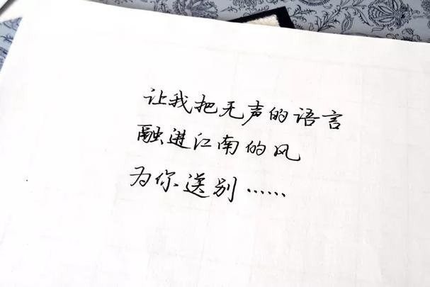 我最亲爱的柳予安,我最亲爱的张惠妹