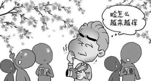 花粉过敏这些症状要警惕,花粉过敏在什么季节高发