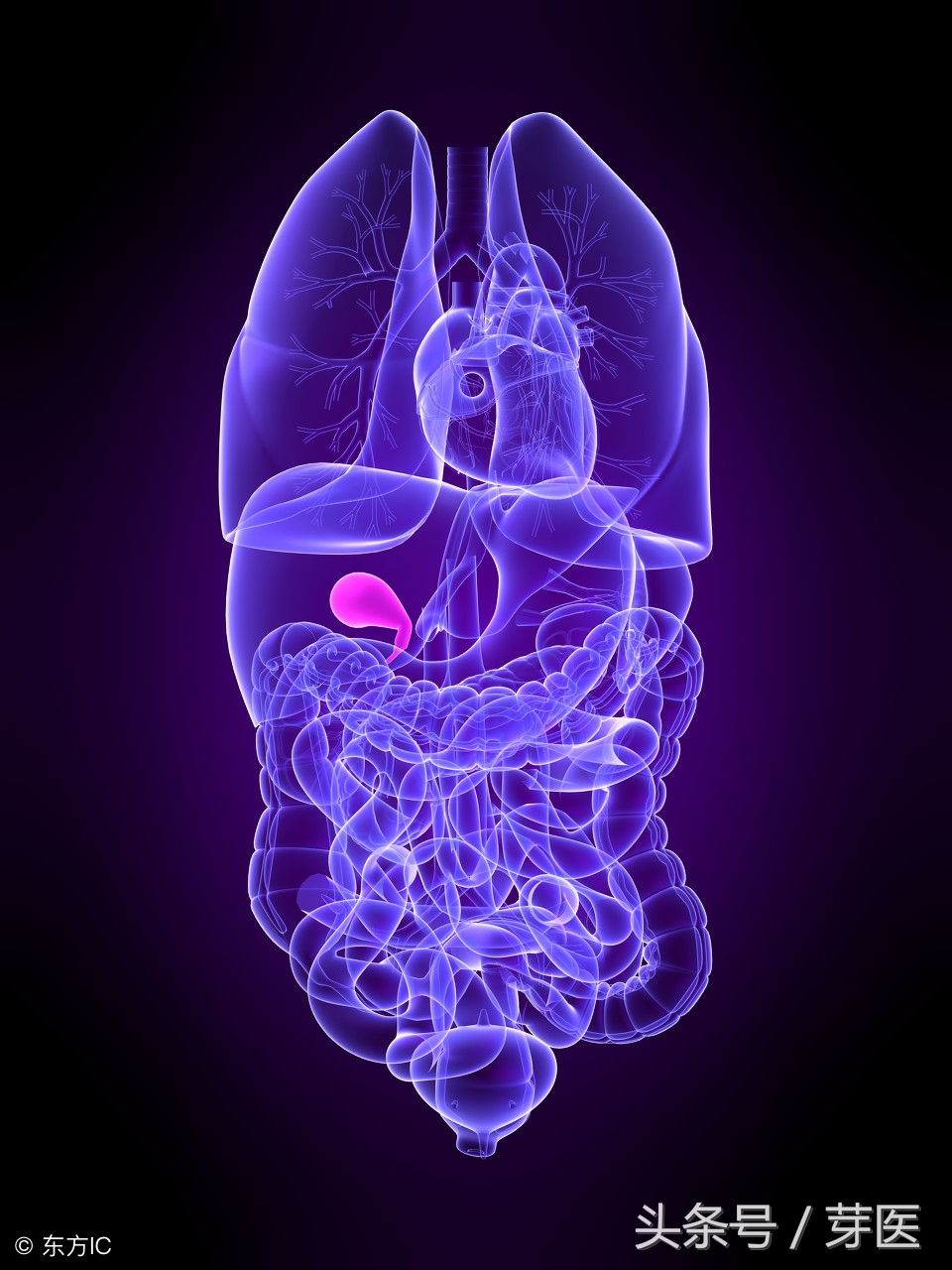 我们一起读完黄帝内经17,黄帝内经一起读第152天