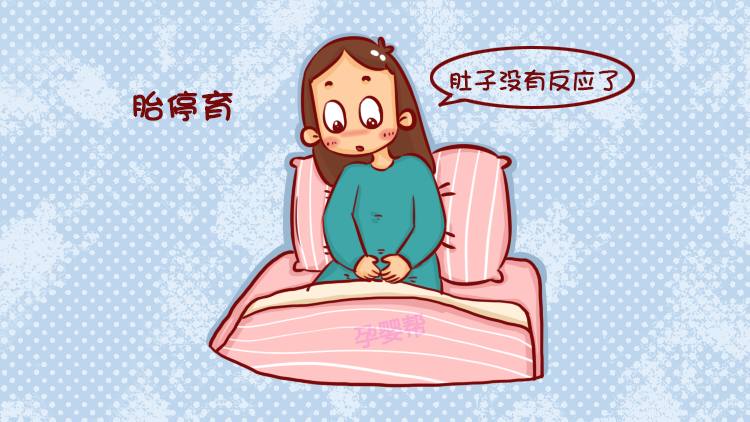 有过胎停史的孕妈再次怀孕，你必须得注意这些了！