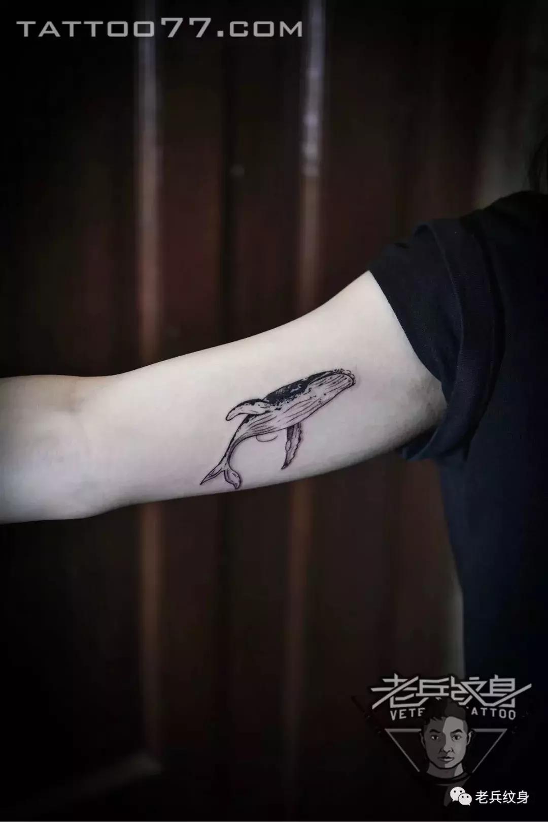 老兵纹身工作室的纹身结果,老兵纹身小臂手稿大全