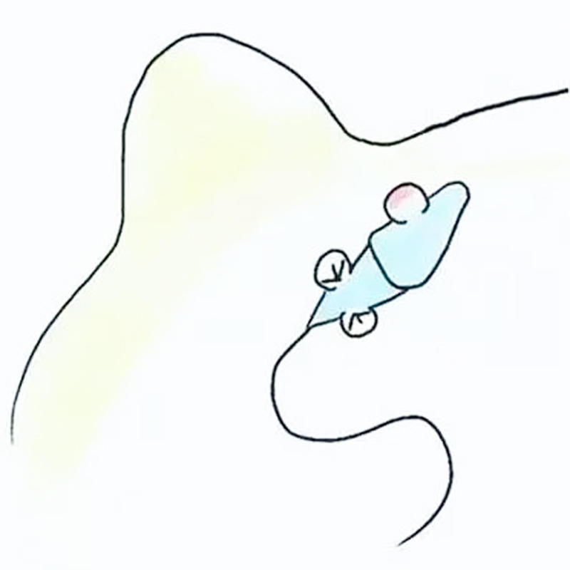 疑惑？没有遇到卵子的精子都去哪里了