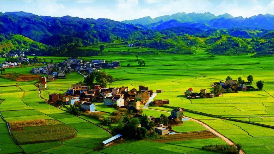 这日子没法过了全部视频,这日子没法过了原视频