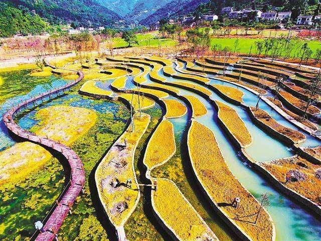 这日子没法过了全部视频,这日子没法过了原视频