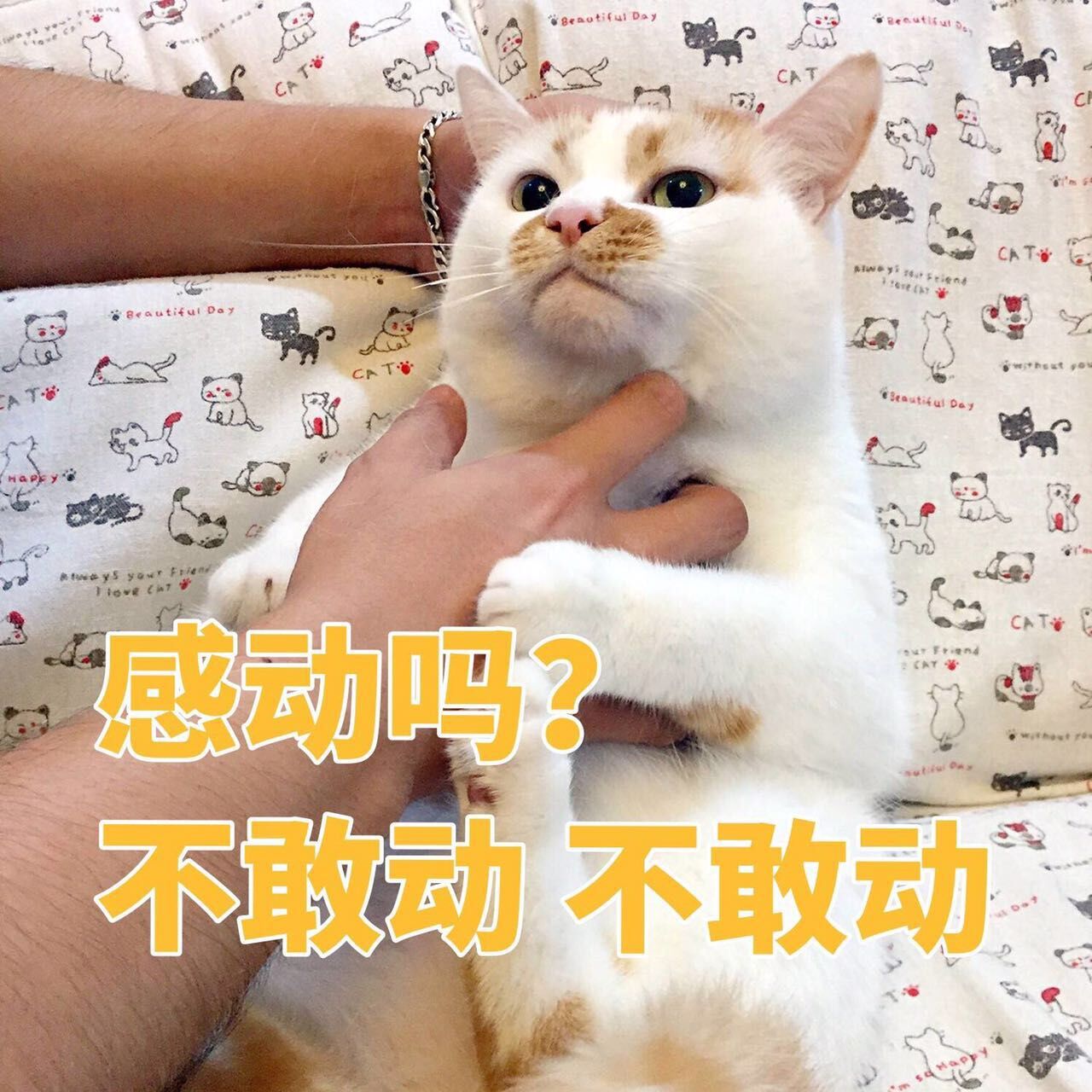 用了防水喷雾洗鞋怎么办,日本防水小白鞋喷雾