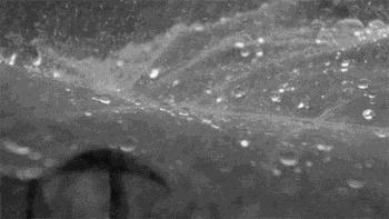 用了防水喷雾洗鞋怎么办,日本防水小白鞋喷雾