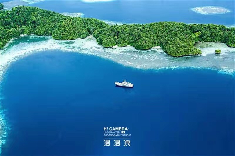 帕劳和漫漫浪哪个好,帕劳旅行的真实故事