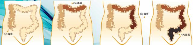 生病选择治病还是不治,生病应该怎么调养