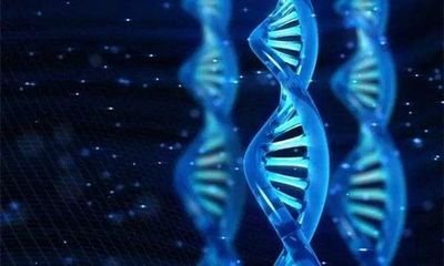 科学家发明进化药剂,丧心病狂的科学家发明克隆药水