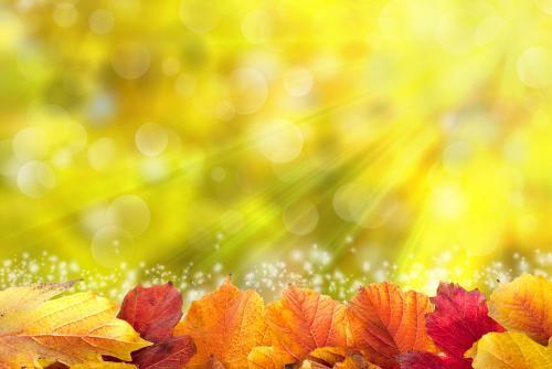 治疗甲亢流程,治疗甲亢知名医生