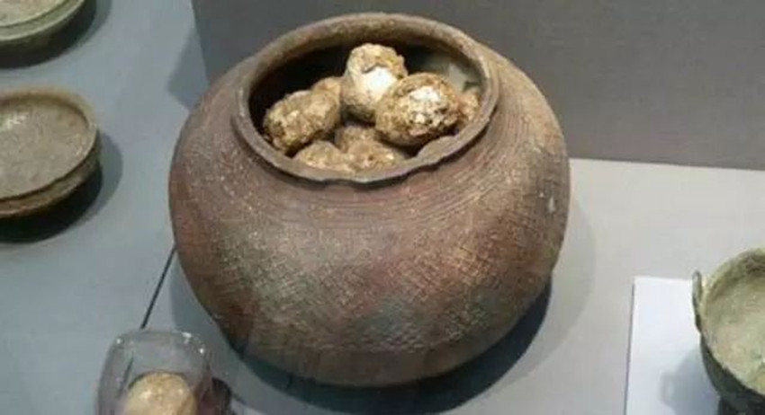 专家发现千年前鸡蛋,考古发现鸡蛋