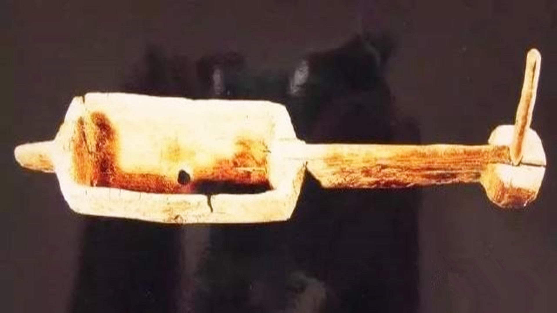 专家发现千年前鸡蛋,考古发现鸡蛋