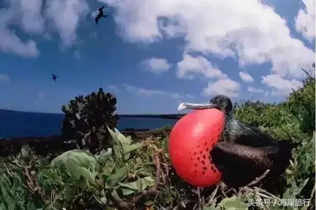 泰国9个最不能错过的美丽海岛,比普吉岛还美的度假天堂