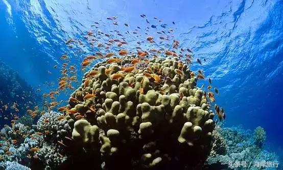 泰国9个最不能错过的美丽海岛,比普吉岛还美的度假天堂