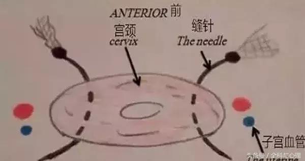 有胎心胎芽先兆流产保胎成功率,9周先兆流产的保胎几率有多大