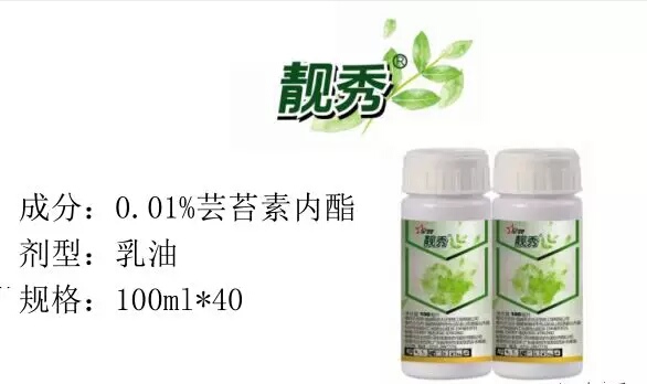 闈撶淇濊姳淇濇灉,闈撶