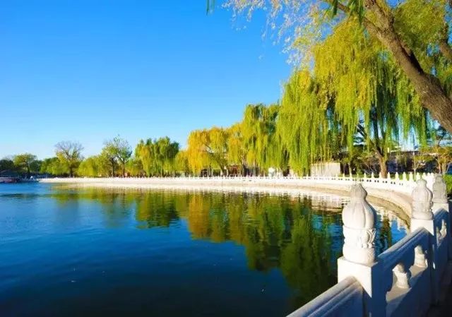 4月机票白菜价！大连出发到全国各地，最低只要140元！