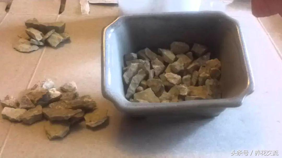 樱桃种子怎么种出樱桃树,用种子种樱桃苗怎么种