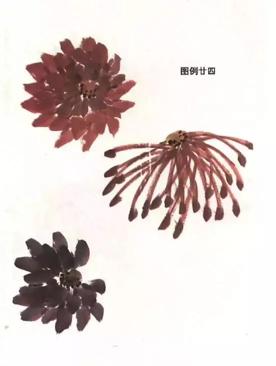 国画基础画菊花该如何构图才好看,国画菊花怎么画简单画法