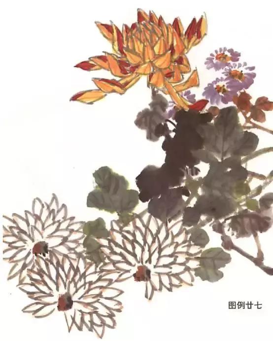 国画基础画菊花该如何构图才好看,国画菊花怎么画简单画法