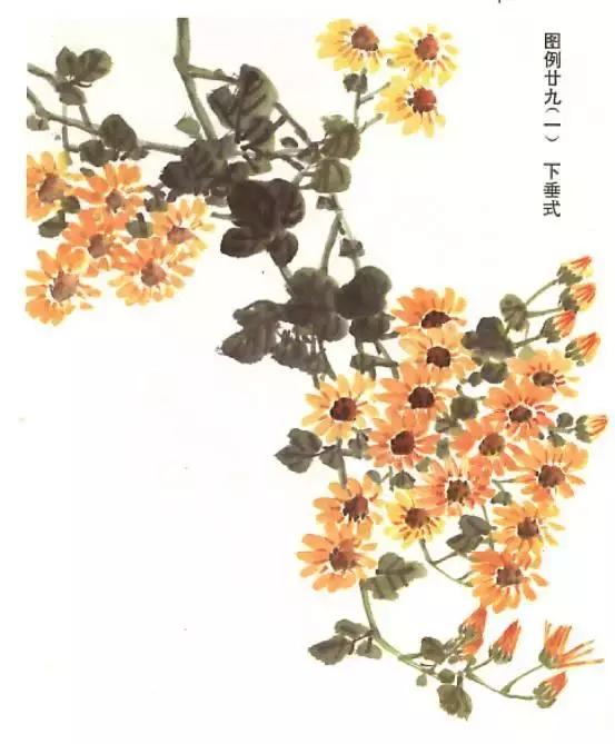 国画基础画菊花该如何构图才好看,国画菊花怎么画简单画法