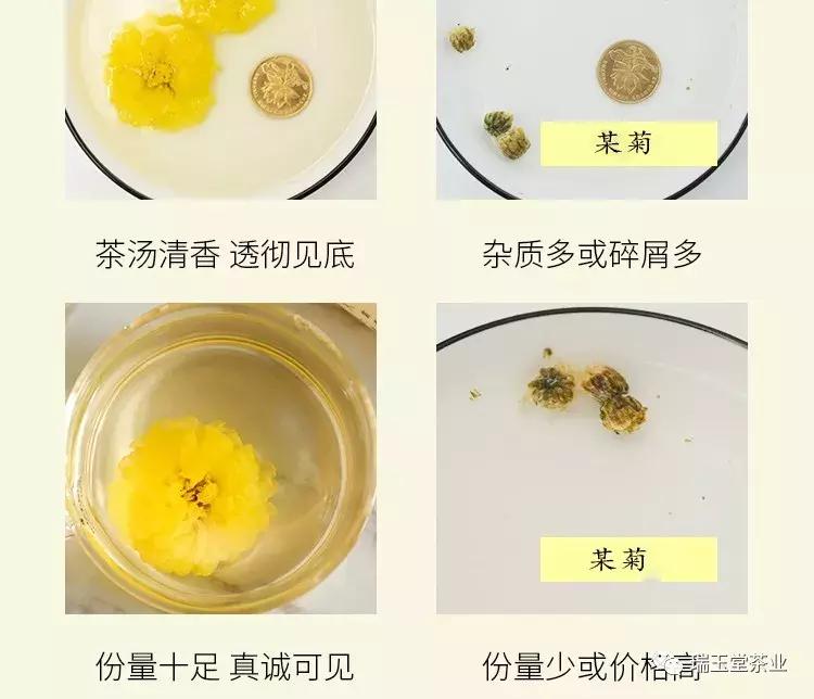 花茶小知识菊花茶的种类介绍,菊花花茶的正确冲泡方法