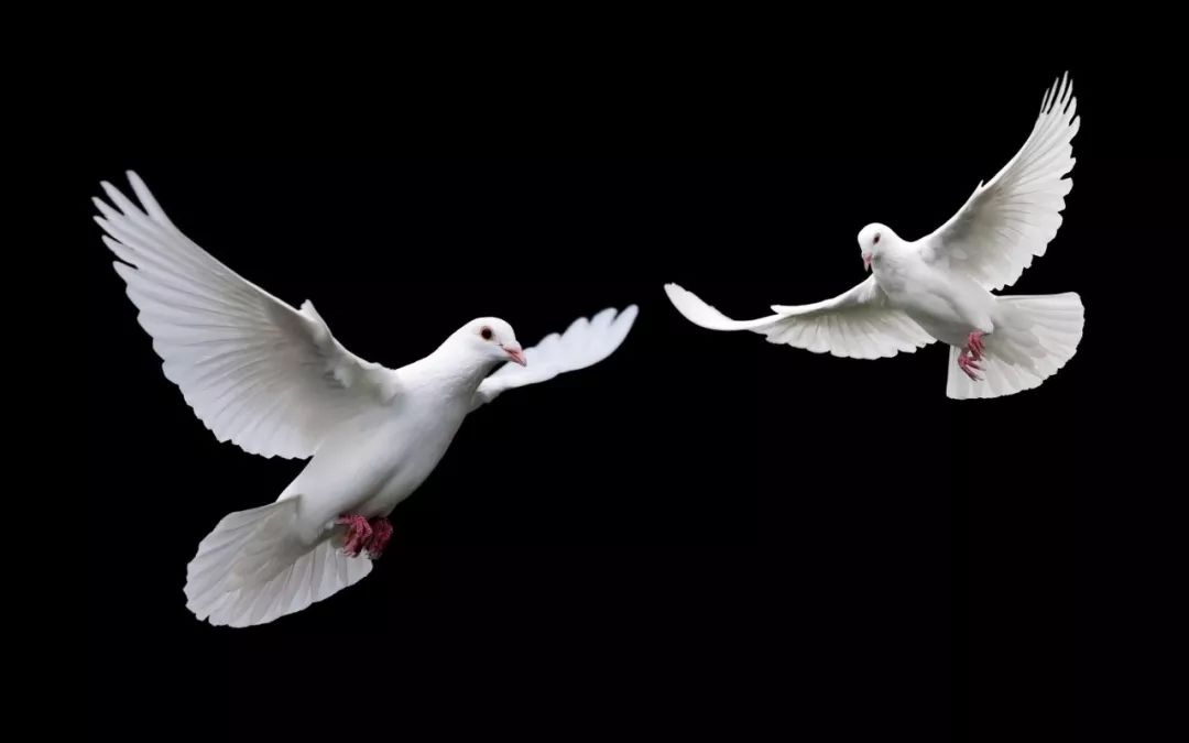 浜哄績鍙垫祴楝艰瘽杩炵瘒,浜哄績鍙垫祴姹熸箹闄╂伓