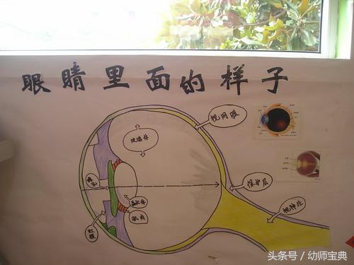 幼儿园眼睛里的世界主题墙,班级爱护眼睛主题墙布置