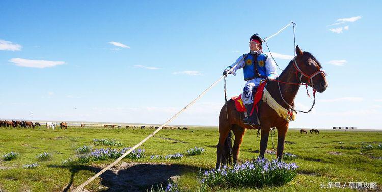 马之舞巴尔虎,玛之舞巴尔虎最新