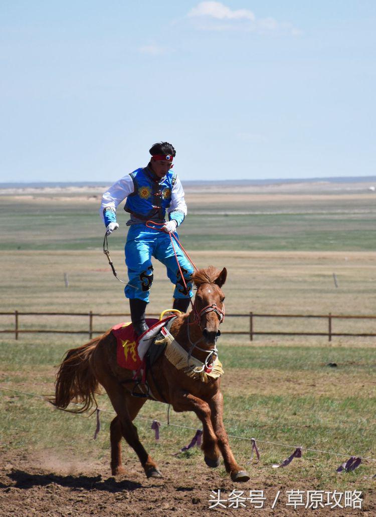 马之舞巴尔虎,玛之舞巴尔虎最新