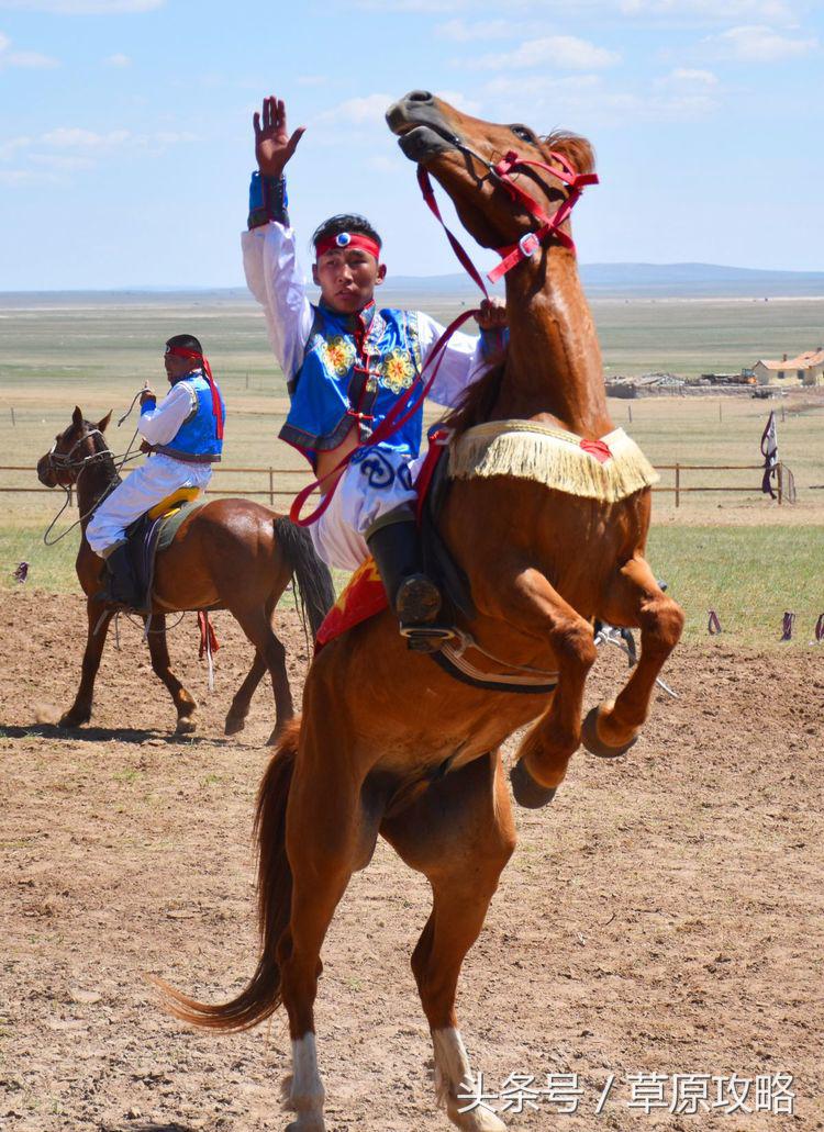 马之舞巴尔虎,玛之舞巴尔虎最新