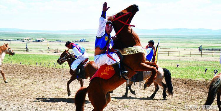 马之舞巴尔虎,玛之舞巴尔虎最新