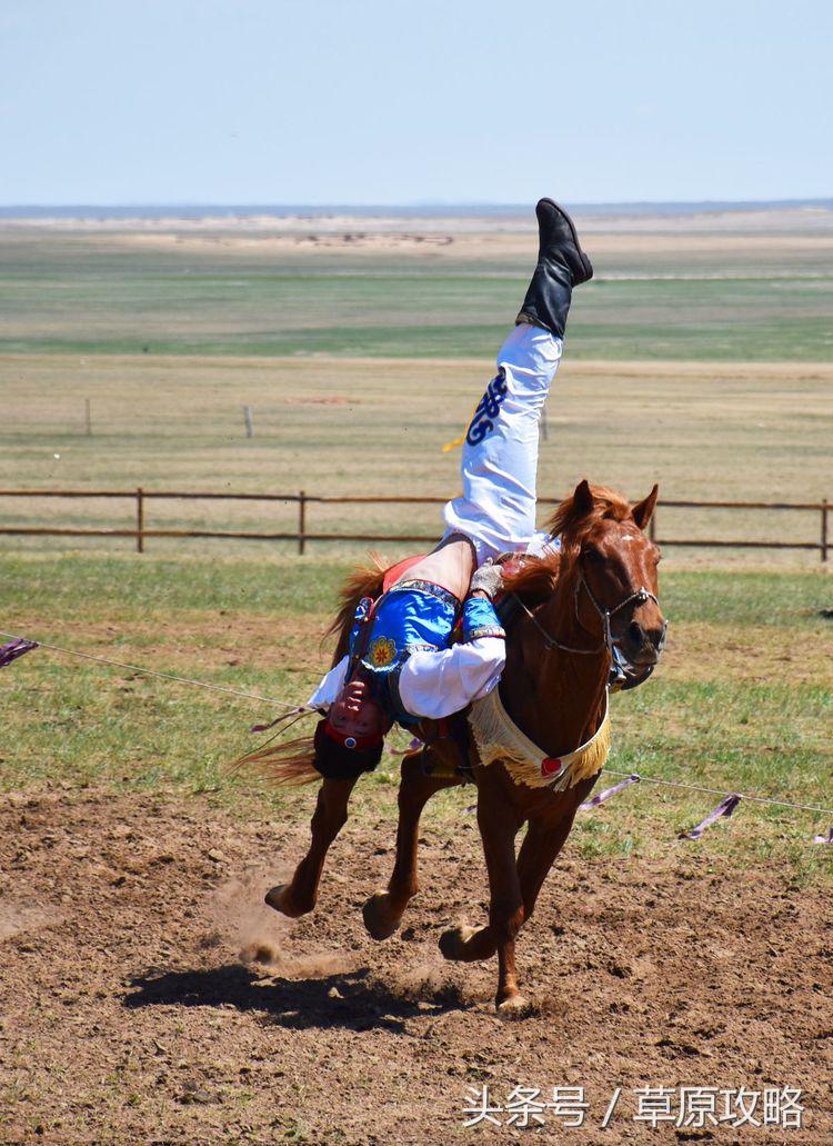 马之舞巴尔虎,玛之舞巴尔虎最新