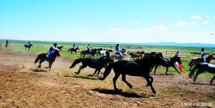 马之舞巴尔虎,玛之舞巴尔虎最新