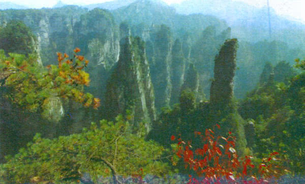 张家界武陵源2日游攻略和费用,武陵源黄龙洞一日游旅游攻略