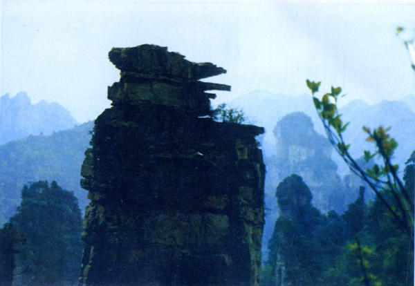 张家界武陵源2日游攻略和费用,武陵源黄龙洞一日游旅游攻略