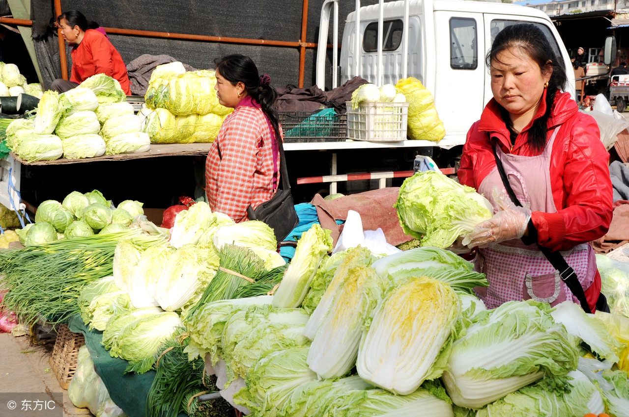 冷门投资创业项目45个致富选择,乡镇10个无需本钱的创业项目投资