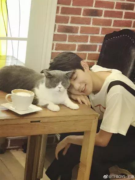 把喵咪交给男朋友照顾，回来我居然看到这种画面……