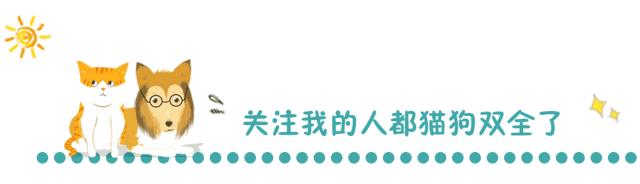 猫咪睡觉的地方应该在哪,猫咪在房间里躲起来怎么都找不到