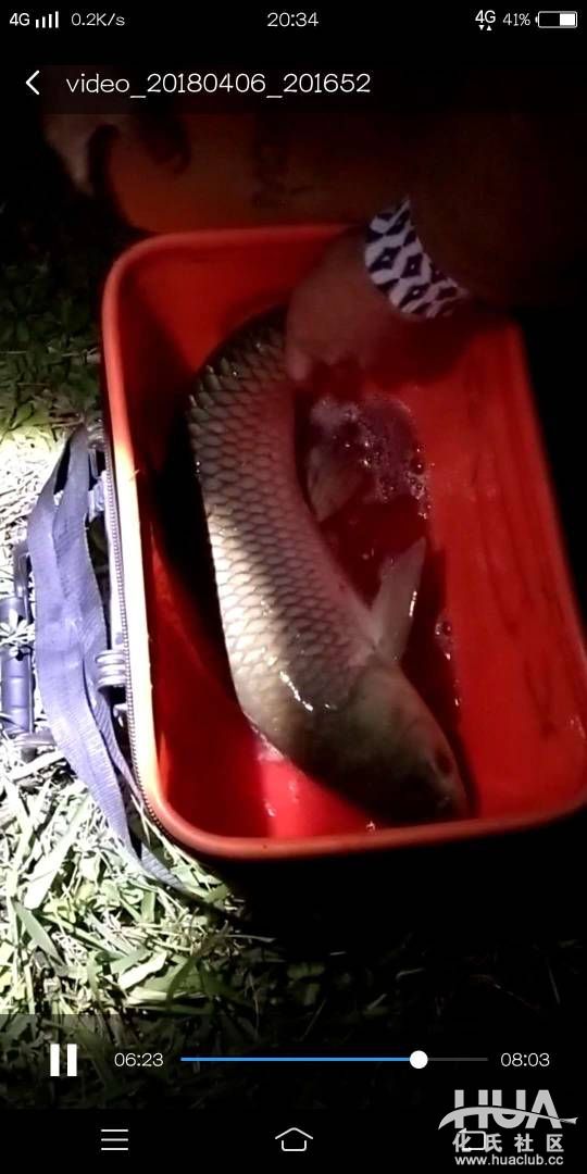 钓鱼日记野钓鲫鱼,钓友日记钓鱼记